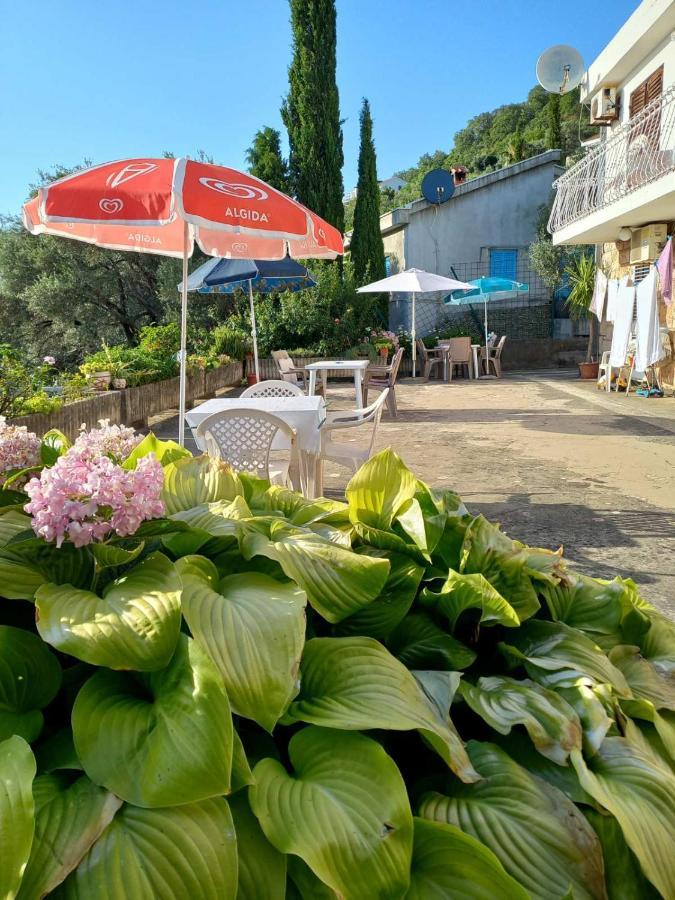 Apartments Andjus Ilha Ilha Sveti Stefan Exterior foto